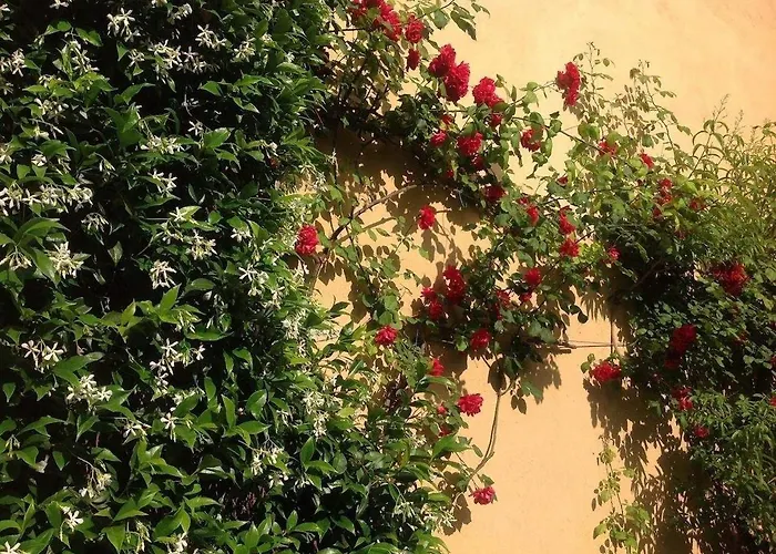 Giardinetto Отель